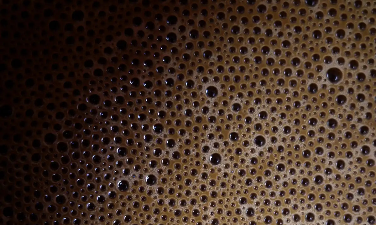 What is Hojicha? The Roasted Japanese Tea Worth Knowing