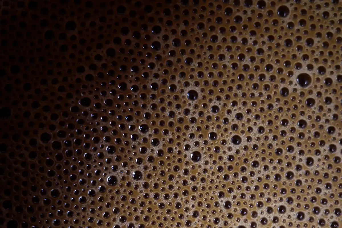 What is Hojicha? The Roasted Japanese Tea Worth Knowing