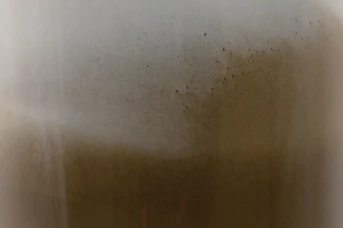 When to Drink Hojicha: Is Evening Really Best?