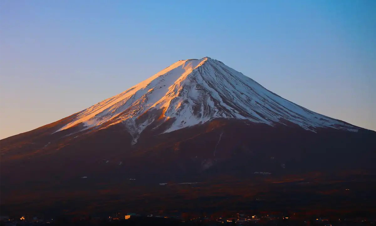 Which Matcha Is Best to Buy in Japan?