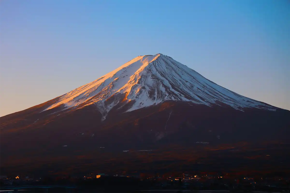 Which Matcha Is Best to Buy in Japan?