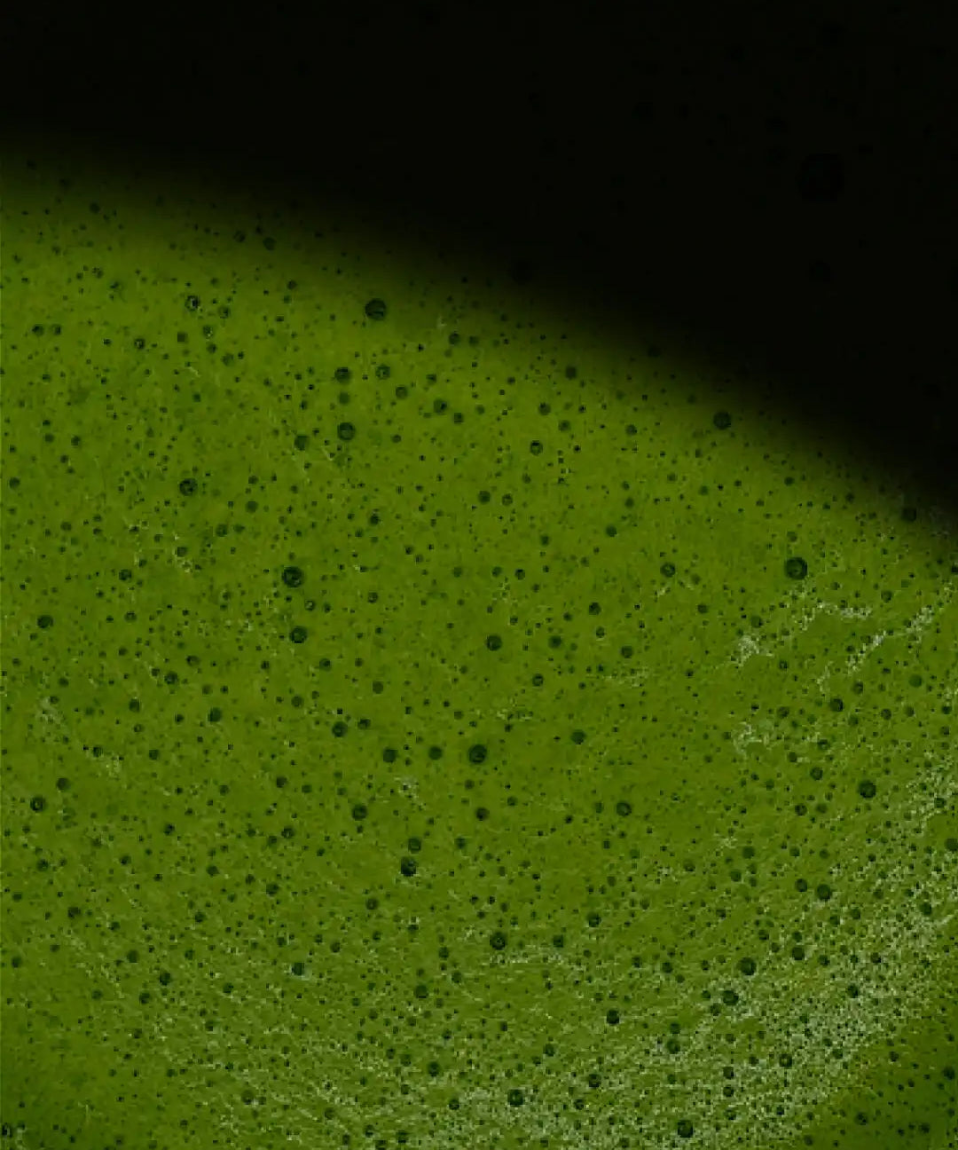 Ceremonial Matcha latte in glass — matcha and oat milk, Slow Social Club