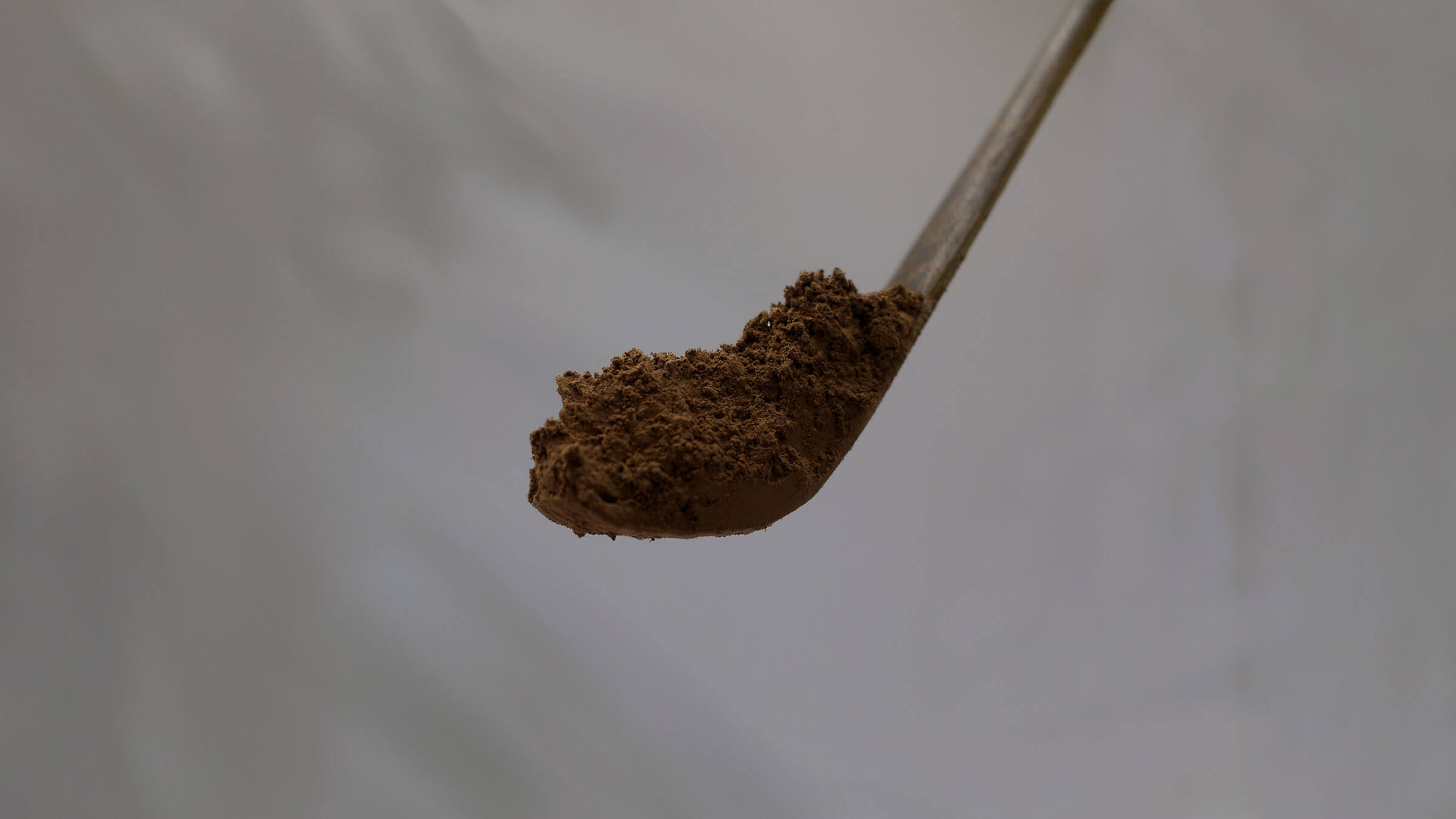 Organic Hojicha Japanese Roasted Green Tea Banner