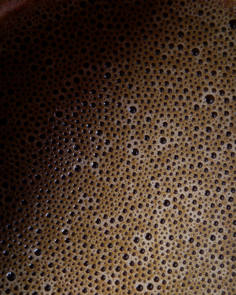 Organic Hojicha Japanese Roasted Green Tea Close Up Banner