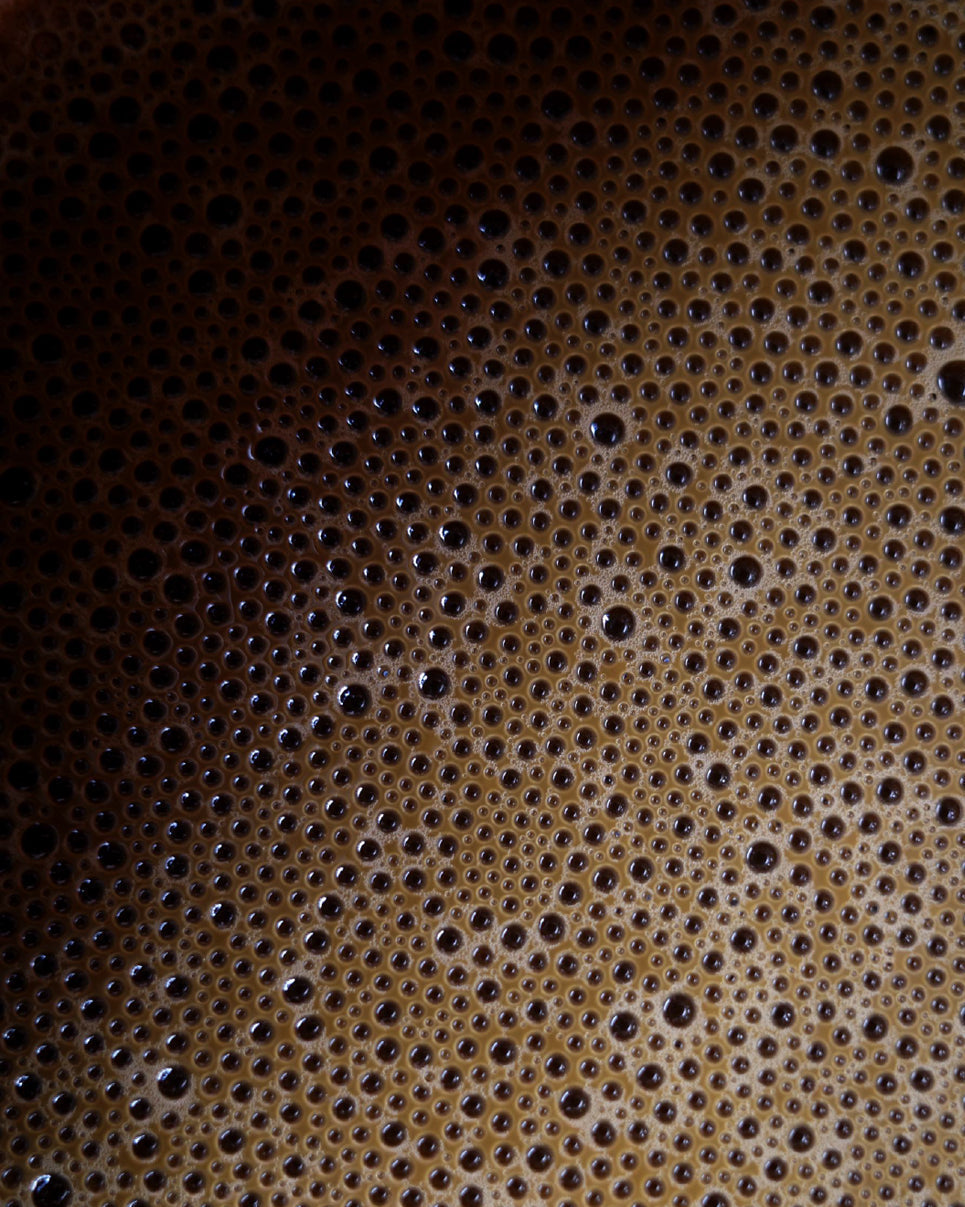 Organic Hojicha Japanese Roasted Green Tea Close Up Banner